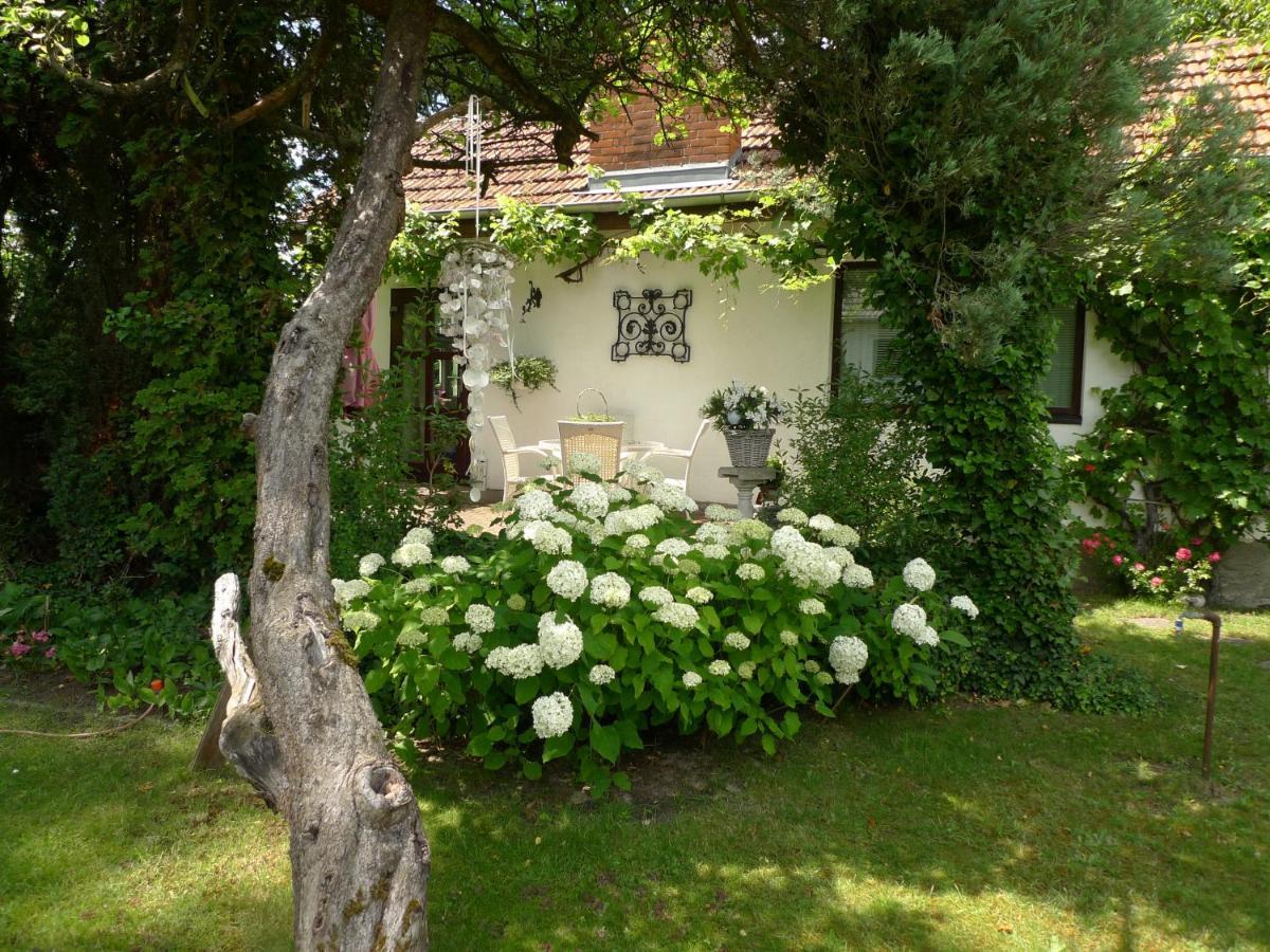 Gemuetliches Gaestehaus Berlin Bohnsdorf, Naehe Flughafen Schoenefeld Exterior photo